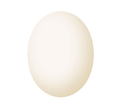 Ägg