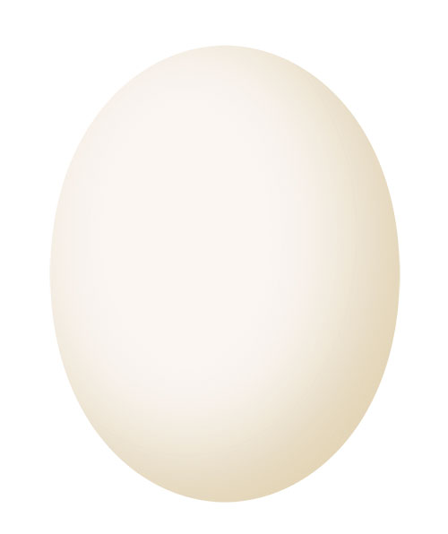 Ägg